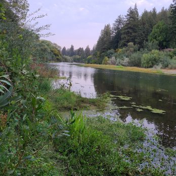 Dawn Ranch - Hotels Near Me - Guerneville, California Dawn Ranch - Hotels Near Me - Guerneville, California