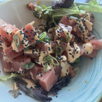 Bohemian Bar & Bistro - Poke from the Happy Hour Menu (yummy!) - New American Near Me - Grants Pass, Oregon Bohemian Bar & Bistro - Poke from the Happy Hour Menu (yummy!) - New American Near Me - Grants Pass, Oregon