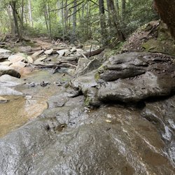 Little Bradley Falls - Trail