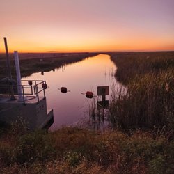 Atlantic Everglades Levee