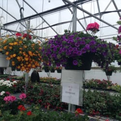 Supreme Selections Greenhouse