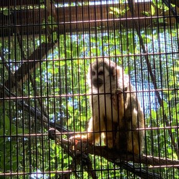 Wildlife Learning Center - Zoos Near Me - Sylmar, California