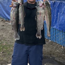 Santa Ana River Lakes - Sundays trout Catch !!!