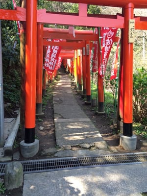 Sasuke Inari Shrine by null
