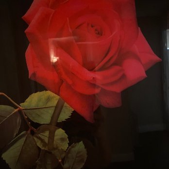 Mind & Beauty Massage - Massage therapy - Massage Near Me - Santa Rosa, California Mind & Beauty Massage - Massage therapy - Massage Near Me - Santa Rosa, California
