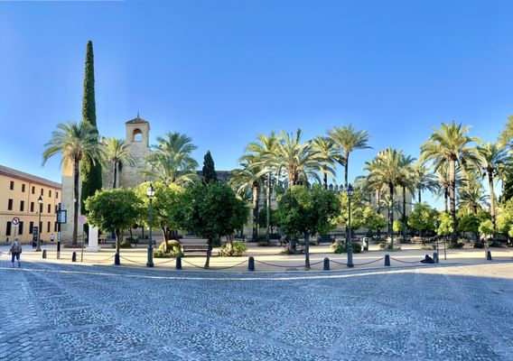Alcázar de los Reyes Cristianos by null