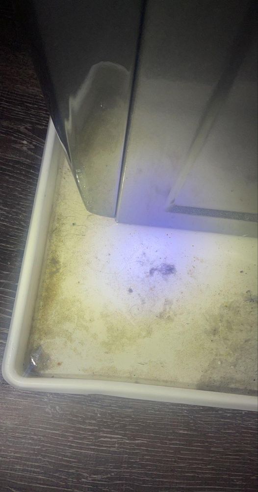 Slide of 911 Restoration of Virginia Peninsula