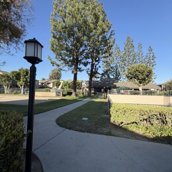 Spring Tree Apartments - Plenty of trees to catch some shade - Apartments Near Me - Chino, California Spring Tree Apartments - Plenty of trees to catch some shade - Apartments Near Me - Chino, California