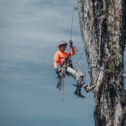 Top Notch Tree Service - Enjoying the view