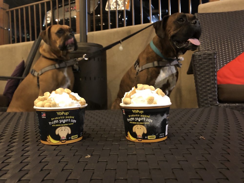 YOGURT ON THE ROCKS 143 Photos & 376 Reviews 1886 Ave, San