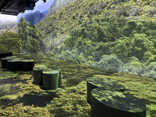 OASIS immersion by null