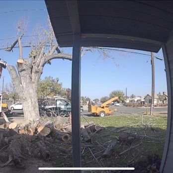 Garibay's Tree Service - Tree Services Near Me Garibay's Tree Service - Tree Services Near Me