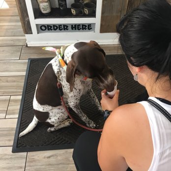 Coffee Hound - Coffee & Tea Near Me - Bar Harbor, Maine Coffee Hound - Coffee & Tea Near Me - Bar Harbor, Maine