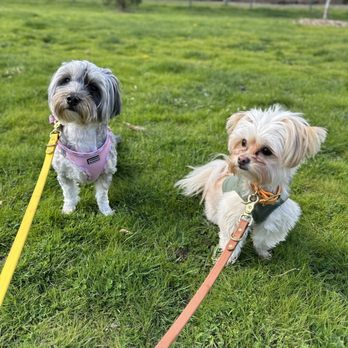 Lincoln Park - Walking Havanna and Kuba! - Parks Near Me - Tacoma, Washington Lincoln Park - Walking Havanna and Kuba! - Parks Near Me - Tacoma, Washington