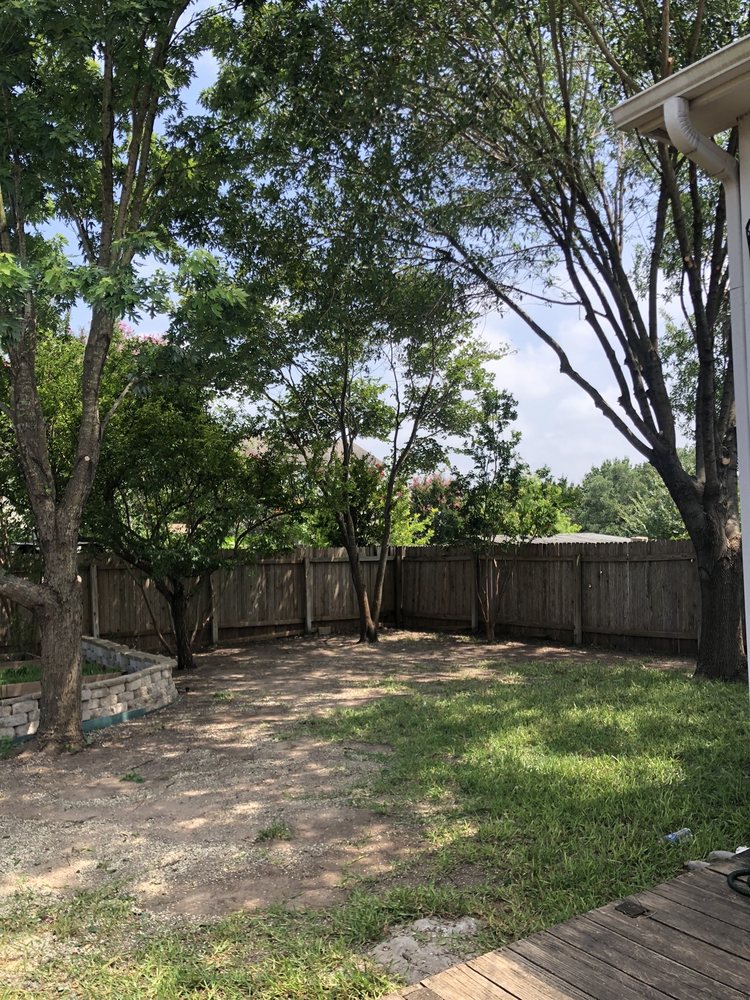 Texas Tree Pros - tree service in Austin, TX