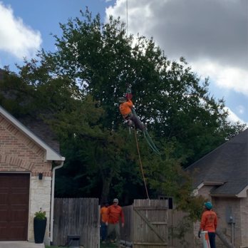 Alamo City Arbor Care - Fantastic crew that works together with great communication to pull this task off effortlessly. - Tree Services Near Me - Schertz, Texas