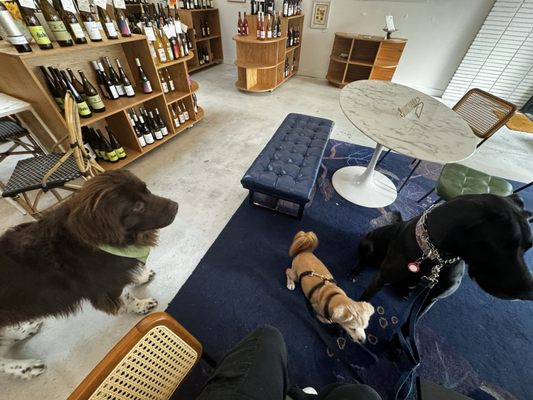 Haley's Wines by null