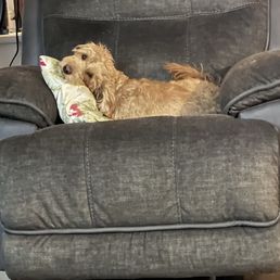 Lexi Lexi