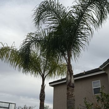 Rana’s Tree Service - Landscaping Near Me Rana’s Tree Service - Landscaping Near Me