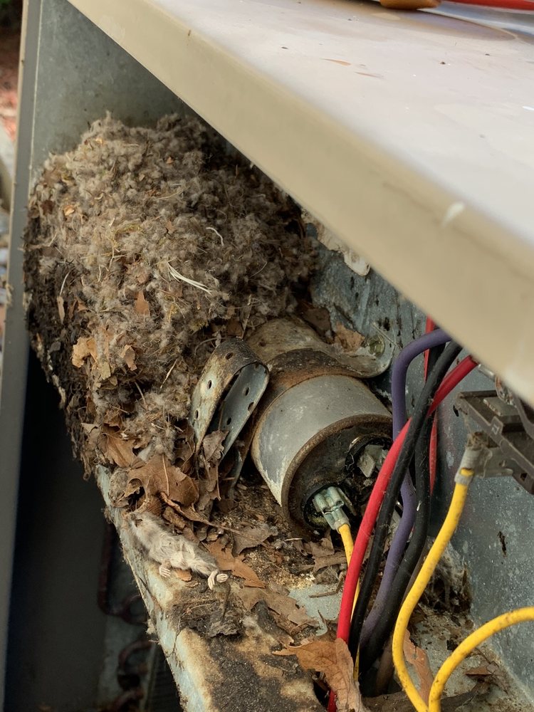 Slide of HARP Home Services