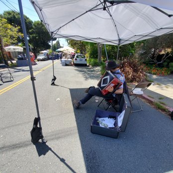 Berkeley Garden Club - Art & Plant Street Sale - Nurseries & Gardening Near Me - Berkeley, California