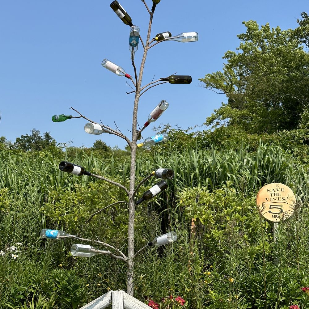 Willow Creek Winery - They seem to grow their own bottles too. - Wineries Near Me - West Cape May, New Jersey Willow Creek Winery - They seem to grow their own bottles too. - Wineries Near Me - West Cape May, New Jersey