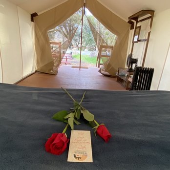 Wildhaven - Spacious tent - came with fan and highly effective heater. Roses laid out for vday wknd! - Campgrounds Near Me - Healdsburg, California Wildhaven - Spacious tent - came with fan and highly effective heater. Roses laid out for vday wknd! - Campgrounds Near Me - Healdsburg, California