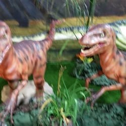 Wonder Of Dinosaurs