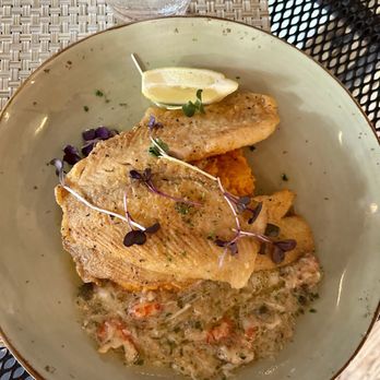 Cabernet Grill - Pan seared flounder with Maple Chipotle Sweet Potato Mash - Seafood Near Me - Fredericksburg, Texas Cabernet Grill - Pan seared flounder with Maple Chipotle Sweet Potato Mash - Seafood Near Me - Fredericksburg, Texas