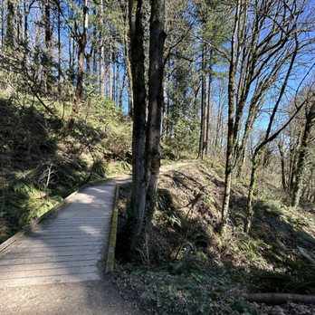 Forest Park - Hike - Parks Near Me - Portland, Oregon