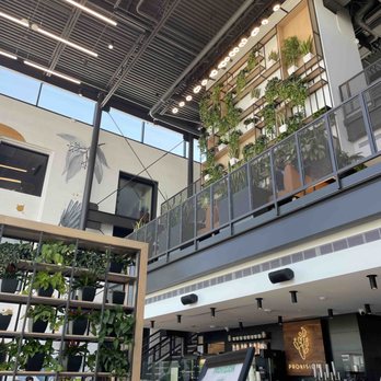 Provision - Beautiful ambiance - Coffee & Tea Near Me - Phoenix, Arizona Provision - Beautiful ambiance - Coffee & Tea Near Me - Phoenix, Arizona