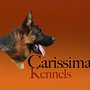 Carissima Kennels Pet Resort