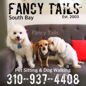 Fancy Tails - Dog Walkers Near Me - Hermosa Beach, California Fancy Tails - Dog Walkers Near Me - Hermosa Beach, California