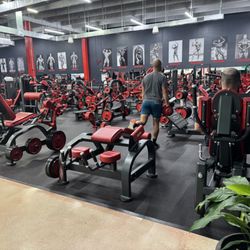 Pro Bodytech Empire