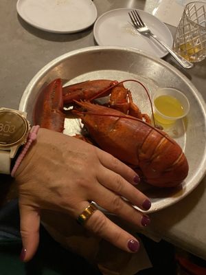 Abel's Lobster by null