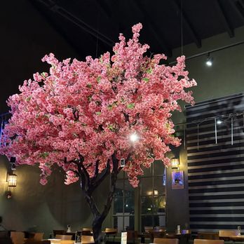 Sushi One Spot - Cherry blossom tree decor! - Sushi Bars Near Me - Montclair, California