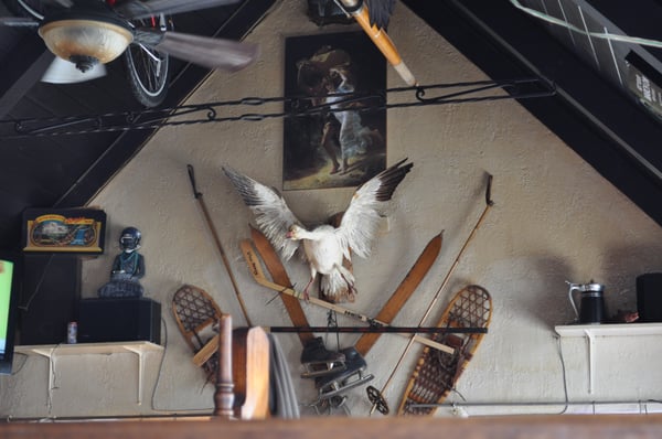 Sully's Snow Goose Saloon by null