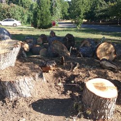 Rash's Tree Service - This is how my parents yard was left by this company