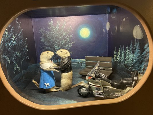 World Famous Gopher Hole Museum by null
