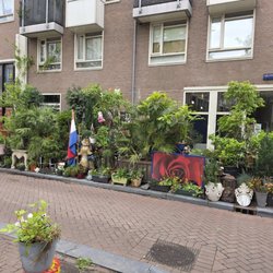 Jewish Quarter - A plant garden