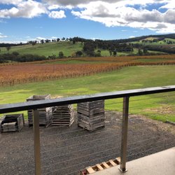 Courabyra Wines - Rolling hills of Courabyra Winery