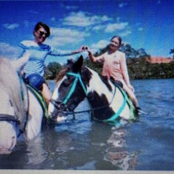 CPonies - Great fun with granddaughter at CPonies Beach Horseback - Horseback Riding Near Me - Bradenton, Florida