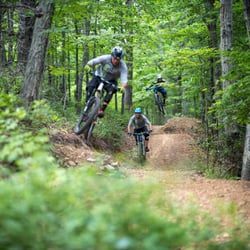 Roanoke Mountain Adventures