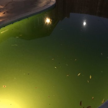 Enrique’s Pool Service - Pool Cleaners Near Me Enrique’s Pool Service - Pool Cleaners Near Me