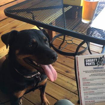 Smarty Pants Garage - I love that this place is dog friendly. Huge reason why my dog and I visit regularly - New American Near Me - Burien, Washington