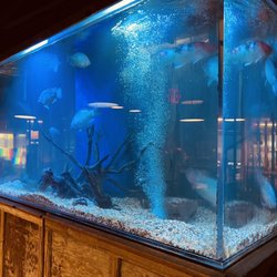 Top O'The River - Cool fish tank!