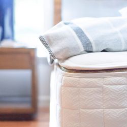 The Clean Bedroom Organic Mattress Store