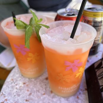 Wayfinder Waikiki - Free drinks at the pool with check in token - Hotels Near Me - Honolulu, Hawaii