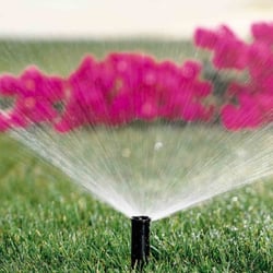 Advanced Irrigation