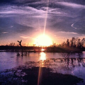 Brazos Bend State Park - Beautiful sunset at the lake - Parks Near Me - Needville, Texas Brazos Bend State Park - Beautiful sunset at the lake - Parks Near Me - Needville, Texas